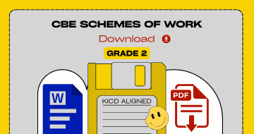 CBE Grade 2 schemes of work