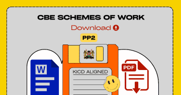 pp2 schemes of work